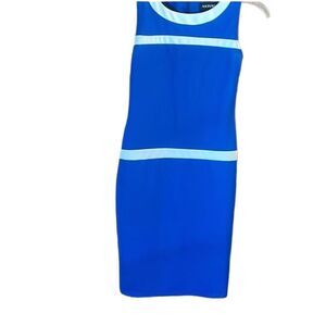 Lovely Polyester Sheath Dress